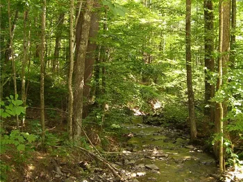 Property at 0 Robinson Road Extension, Guilford, NY 13780