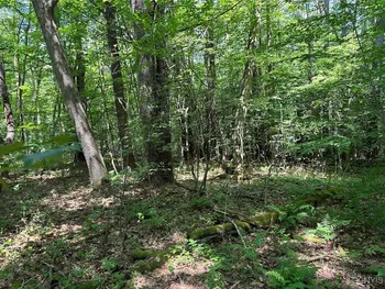Property at 6546 Richburg Hill Road, Wirt, NY 14715