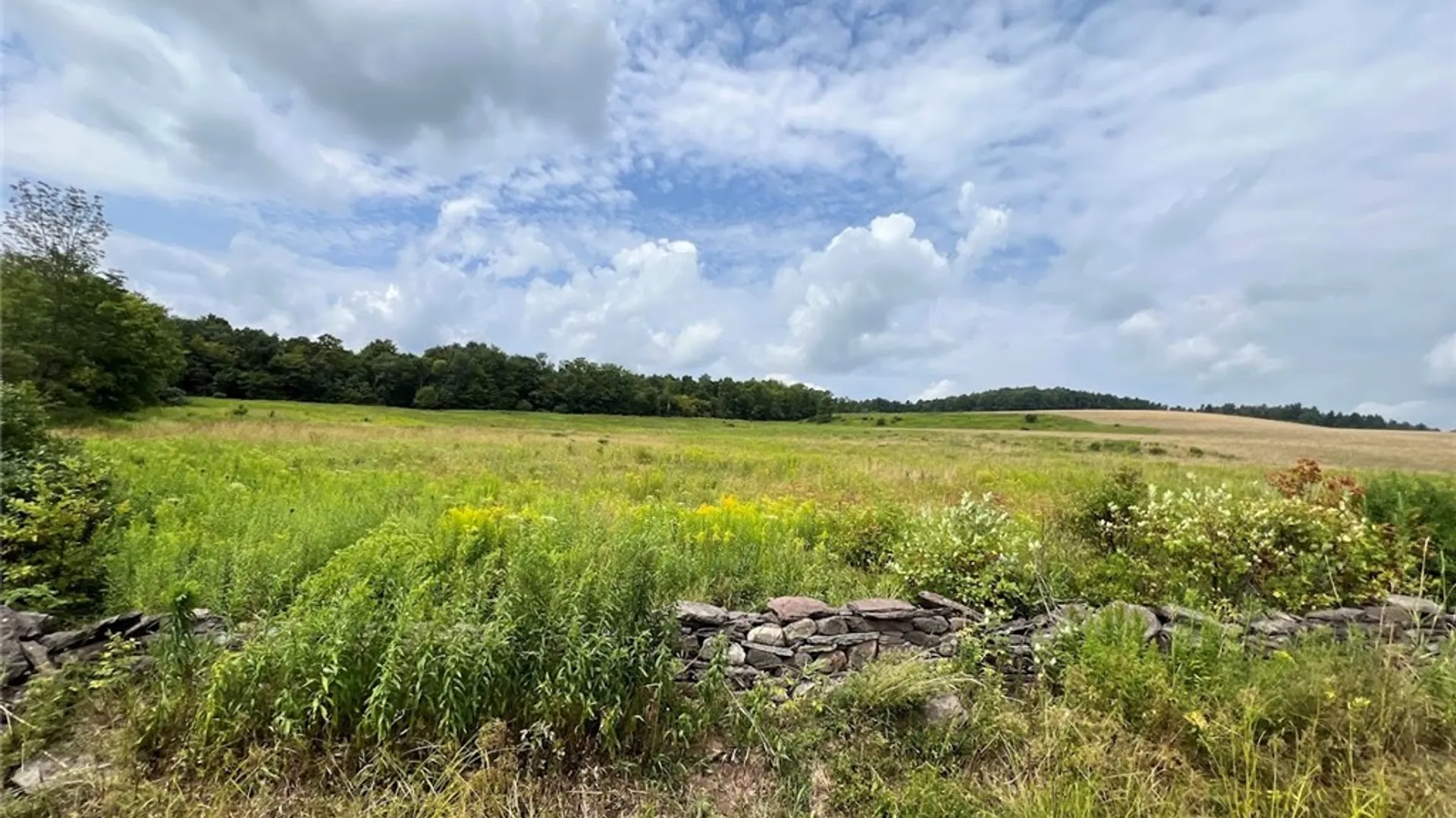 Property at 0 Route 28, Meredith, NY 13753 10