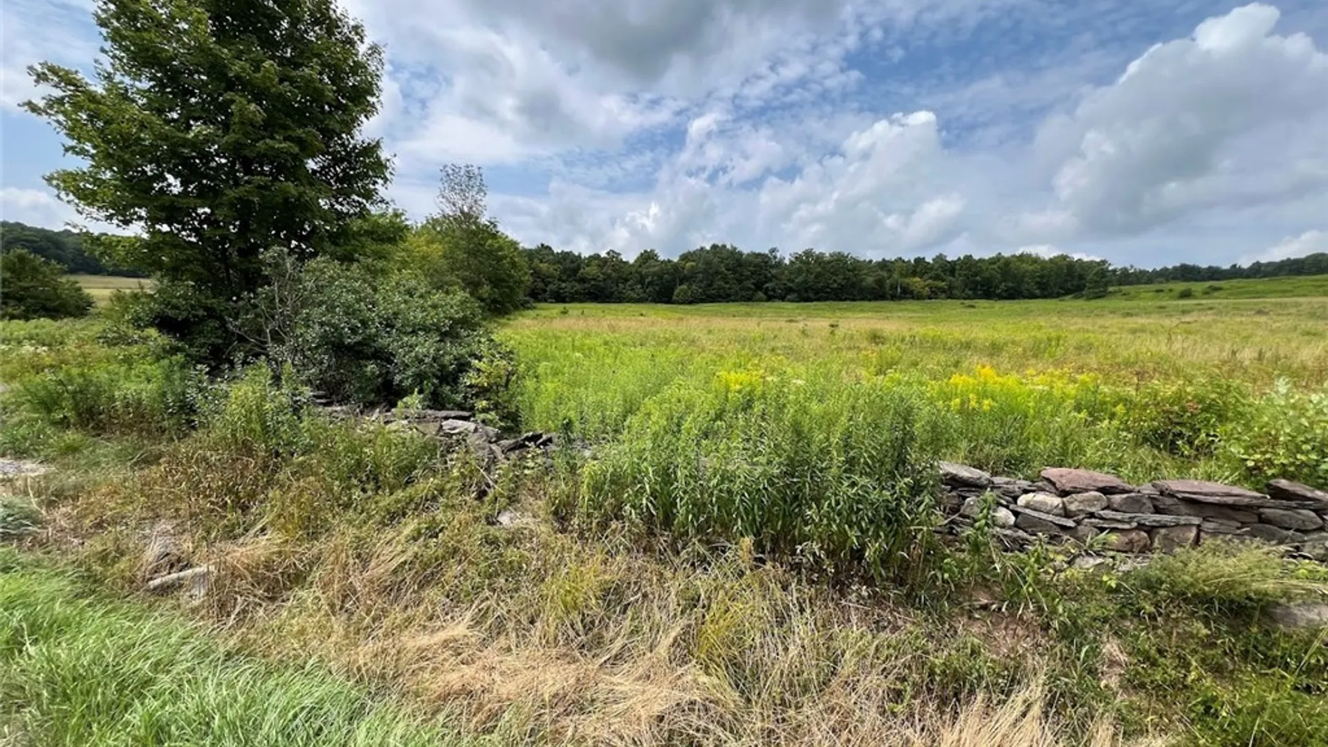 Property at 0 Route 28, Meredith, NY 13753 11