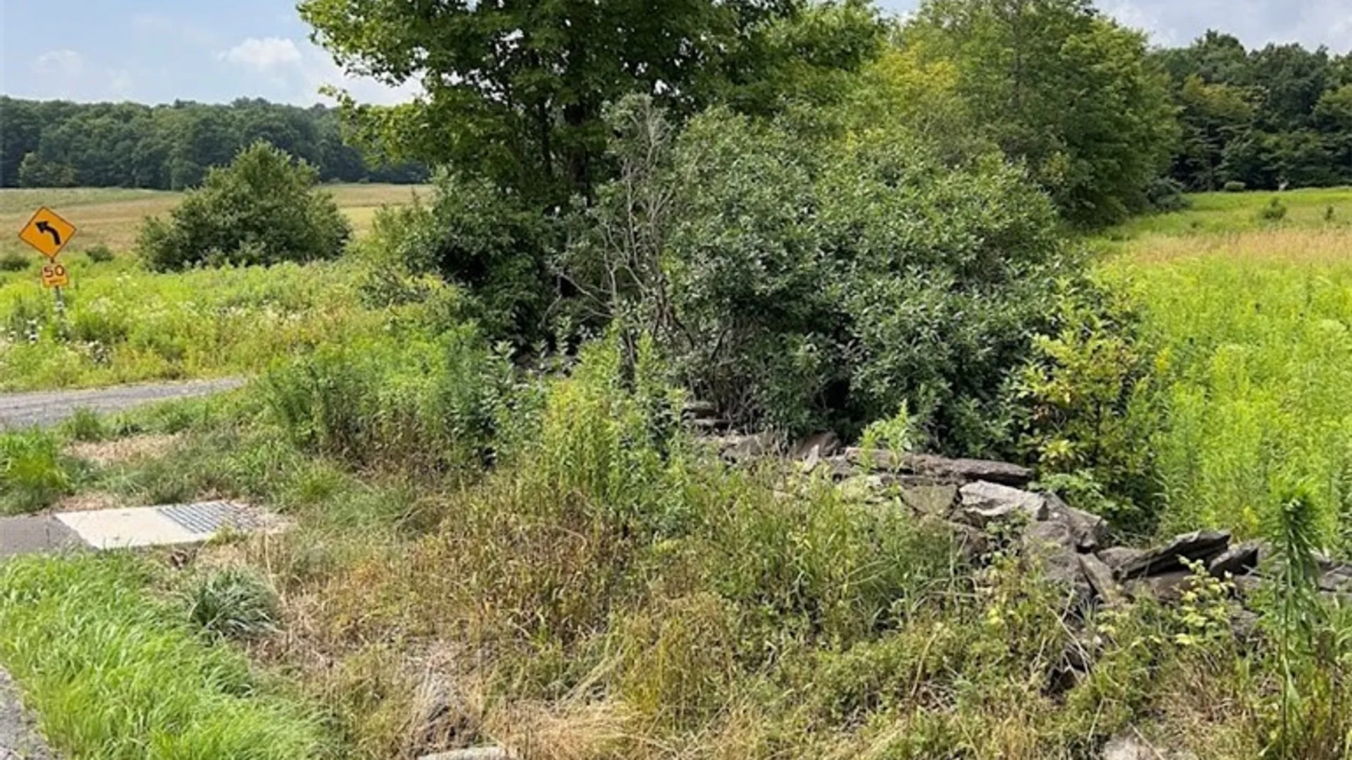 Property at 0 Route 28, Meredith, NY 13753 12