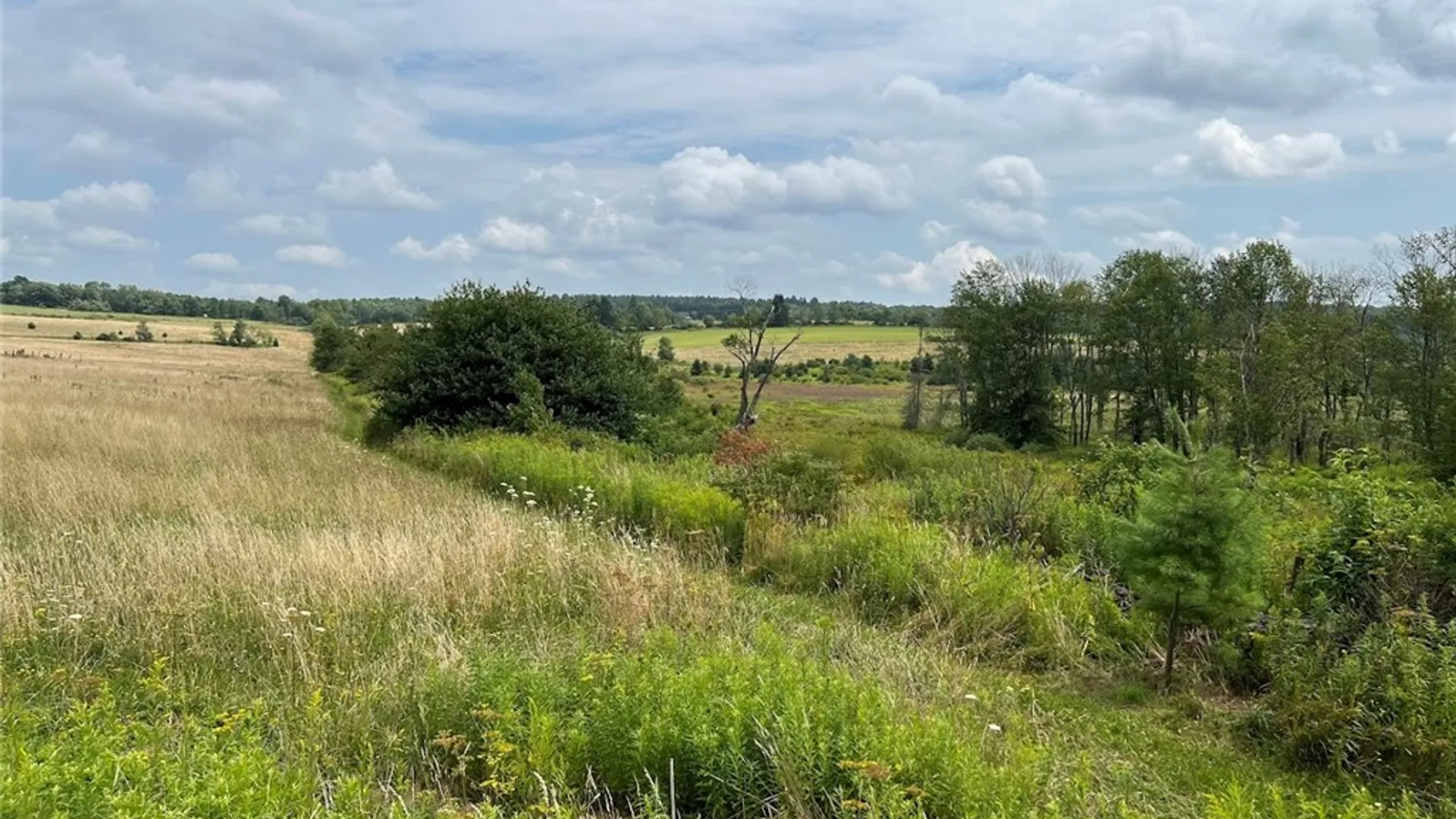 Property at 0 Route 28, Meredith, NY 13753 14