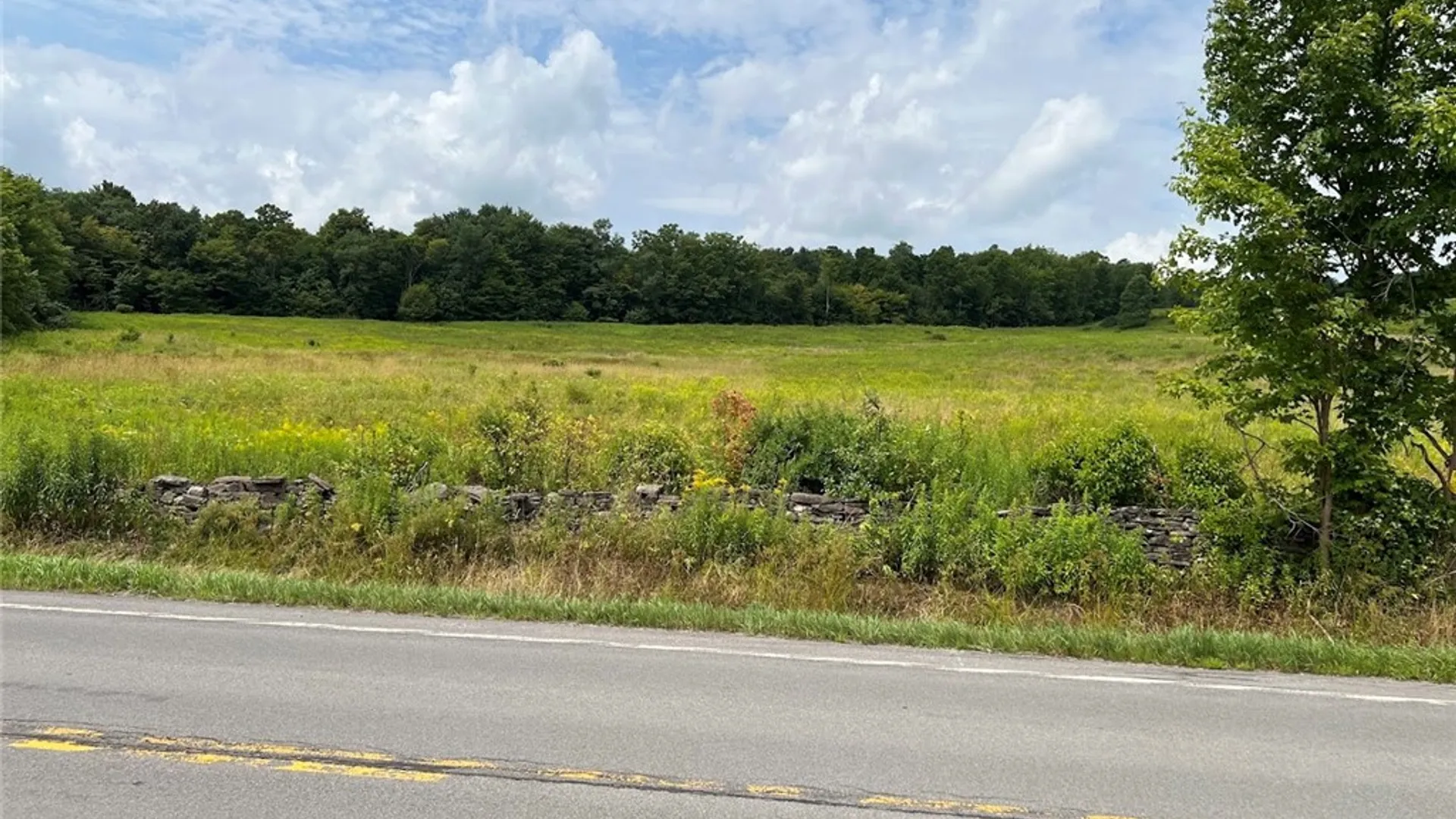 Property at 0 Route 28, Meredith, NY 13753 15