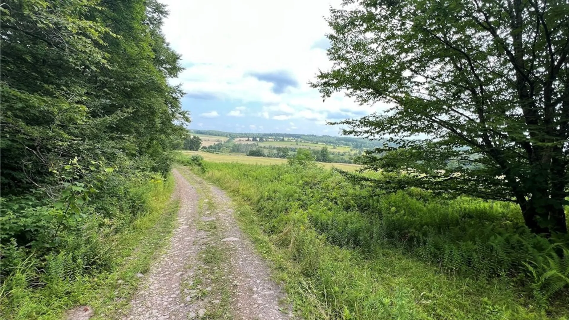 Property at 0 Route 28, Meredith, NY 13753 6