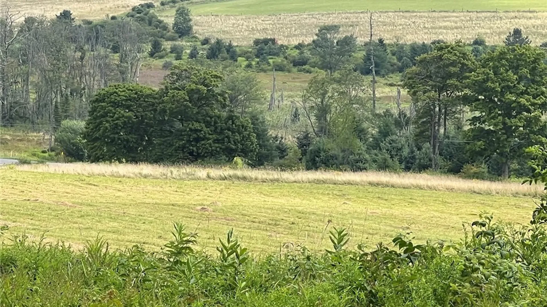 Property at 0 Route 28, Meredith, NY 13753 7