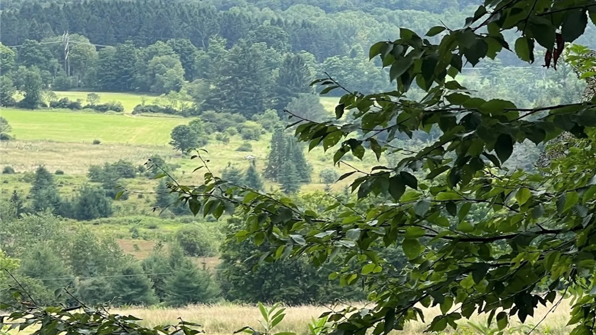 Property at 0 Route 28, Meredith, NY 13753 9