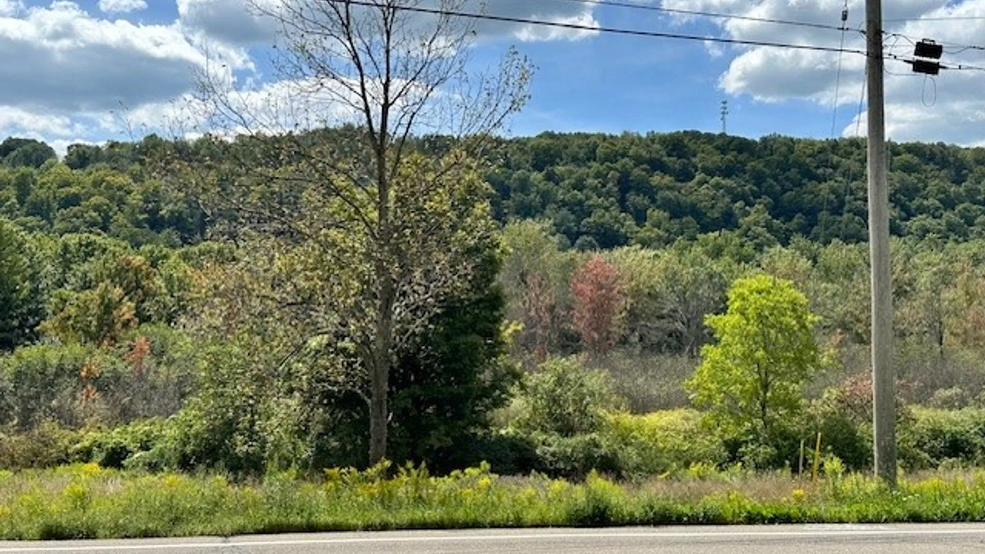 Property at 11150 State Route 70, Grove, NY 14884 3