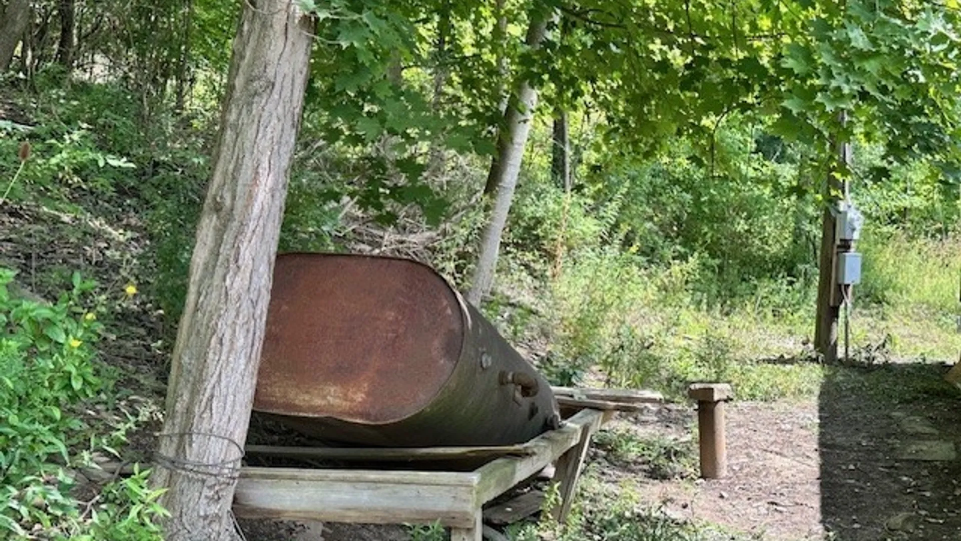 Property at 11150 State Route 70, Grove, NY 14884 5