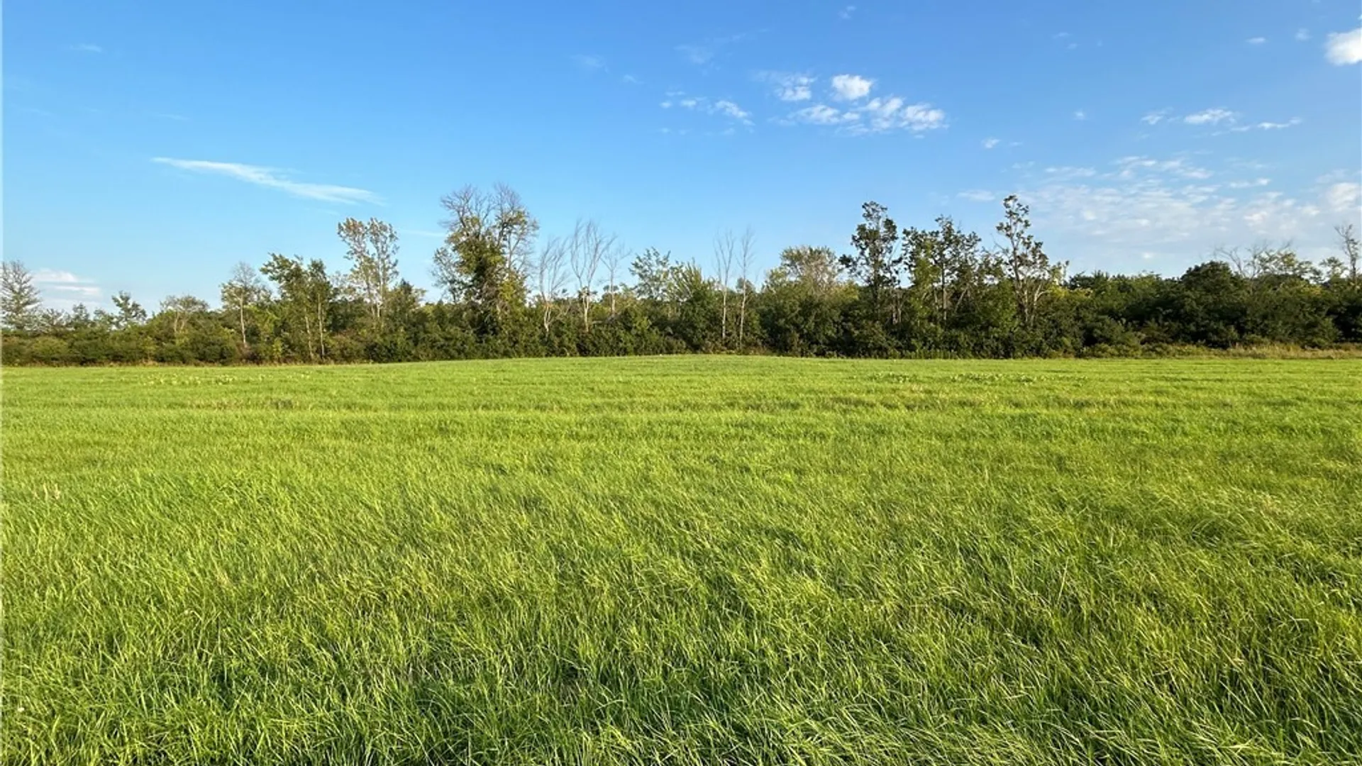 Property at 0 NYS Route 12, Clayton, NY 13624 4