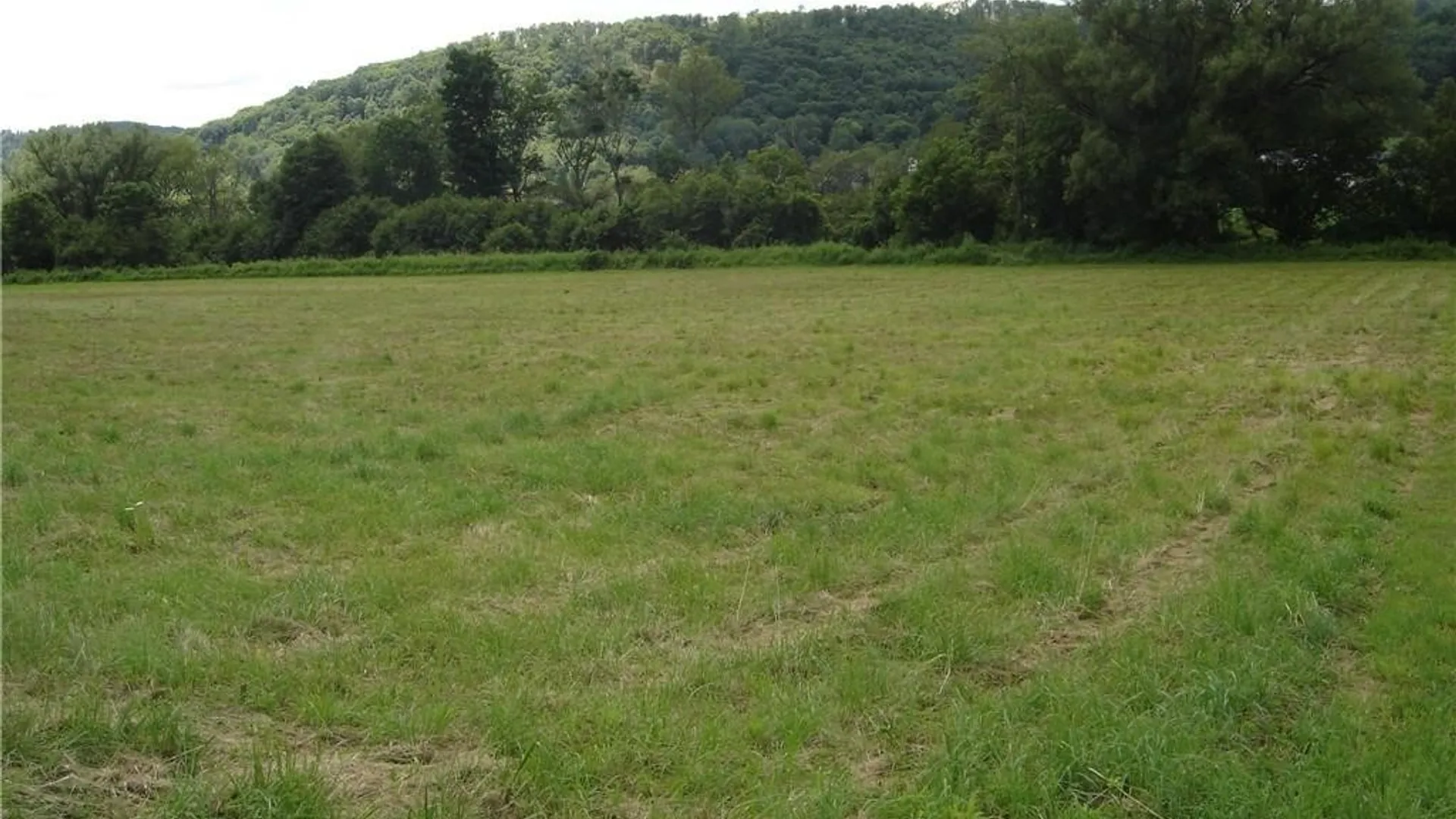 Property at Lot #3 Five Mile Road, Allegany, NY 14706 2