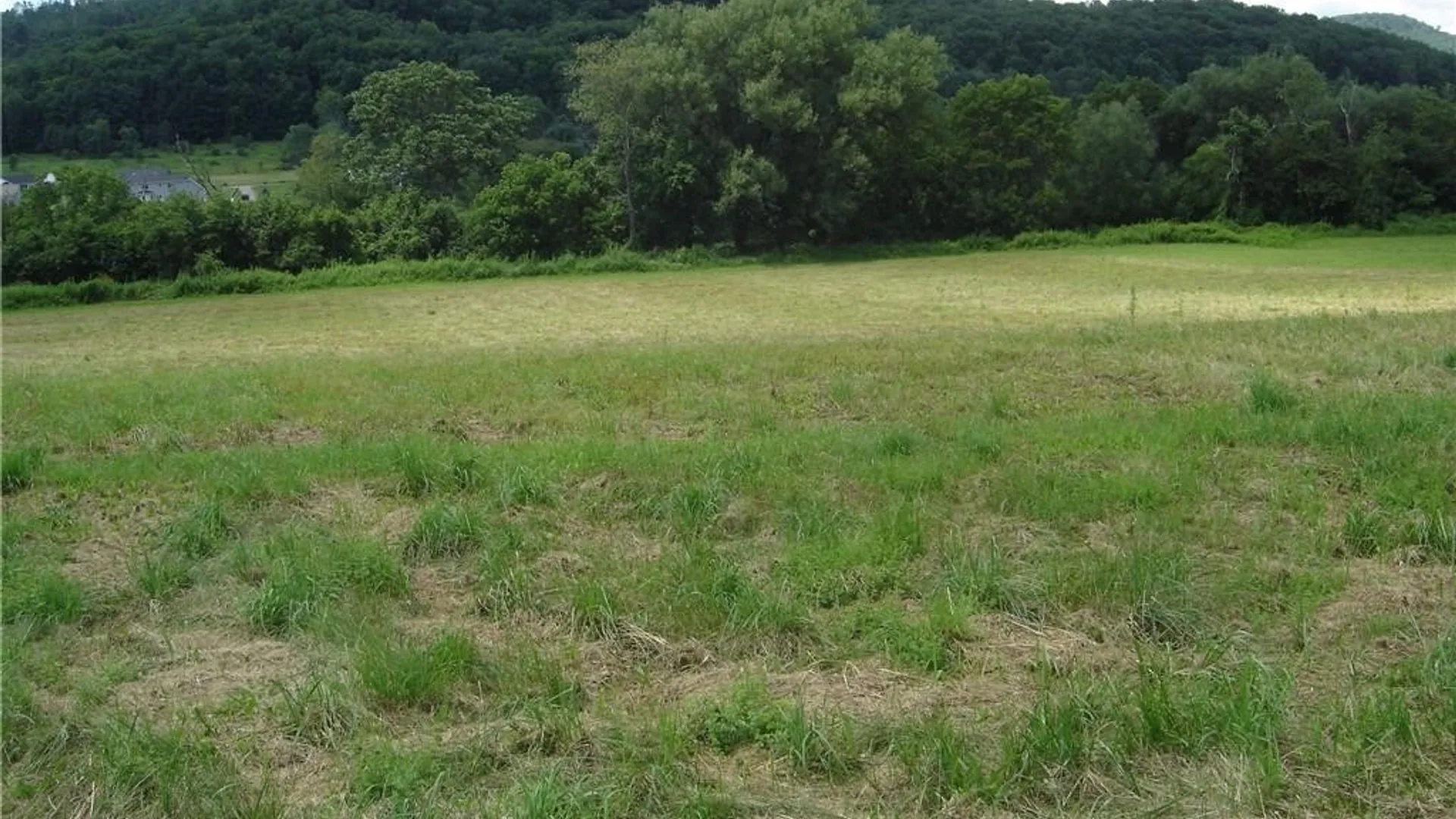 Property at Lot #2 Five Mile Road, Allegany, NY 14706 2