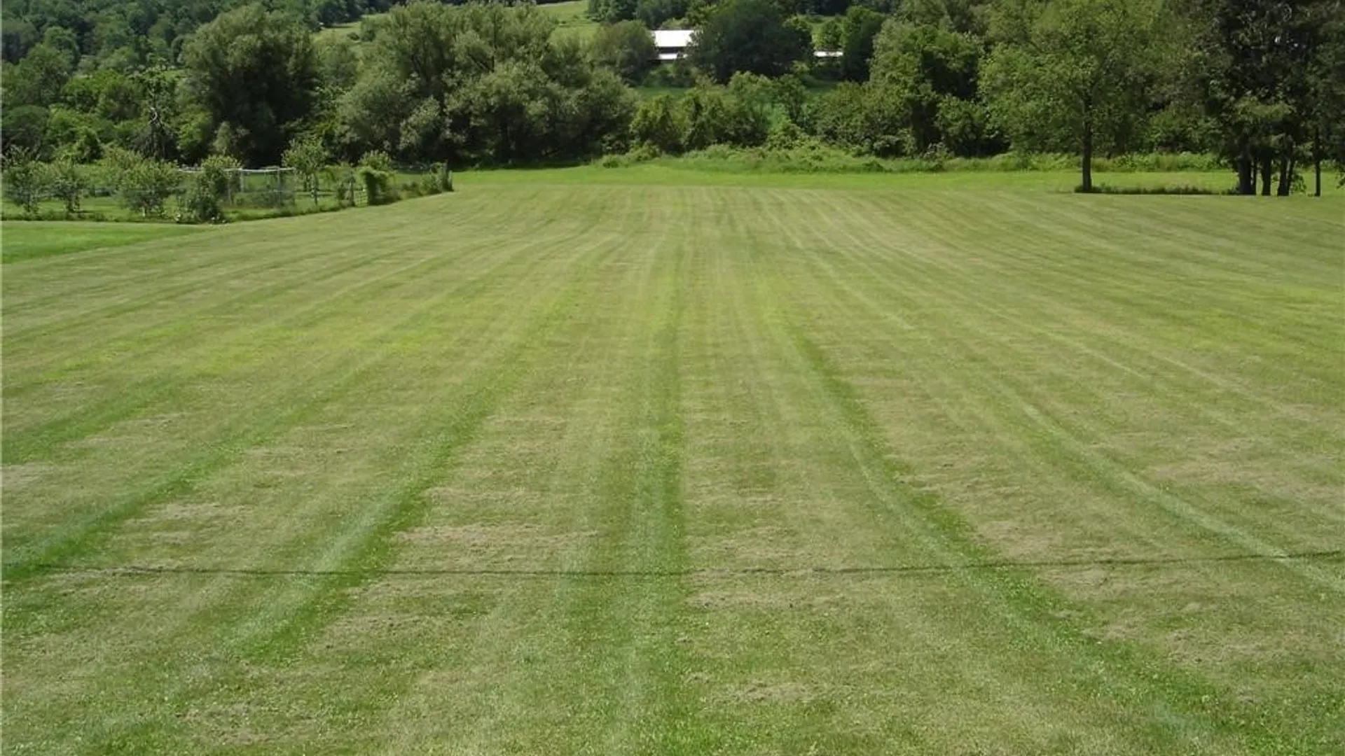 Property at Lot #1 Five Mile Road, Allegany, NY 14706 2