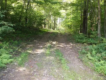Property at 0 Freer Hollow Road, Franklin, NY 13775