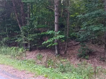 Property at 185 Eagle Mountain Road, Summit, NY 12175