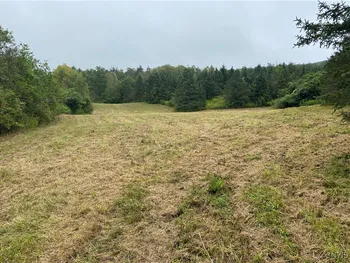 Property at 9405 County Road 15B, Birdsall, NY 14822