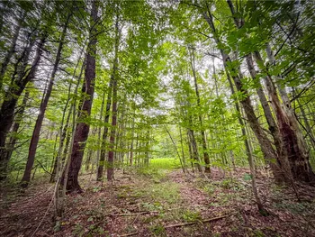 Property at 0 E S Terry Hill Road, Veteran, NY 14864