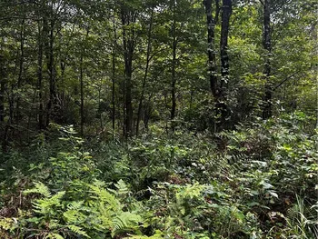 Property at 00 Abes Drive, Redfield, NY 13437