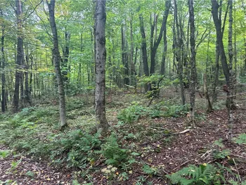 Property at Lot 1 Bice Road, Worth, NY 13659