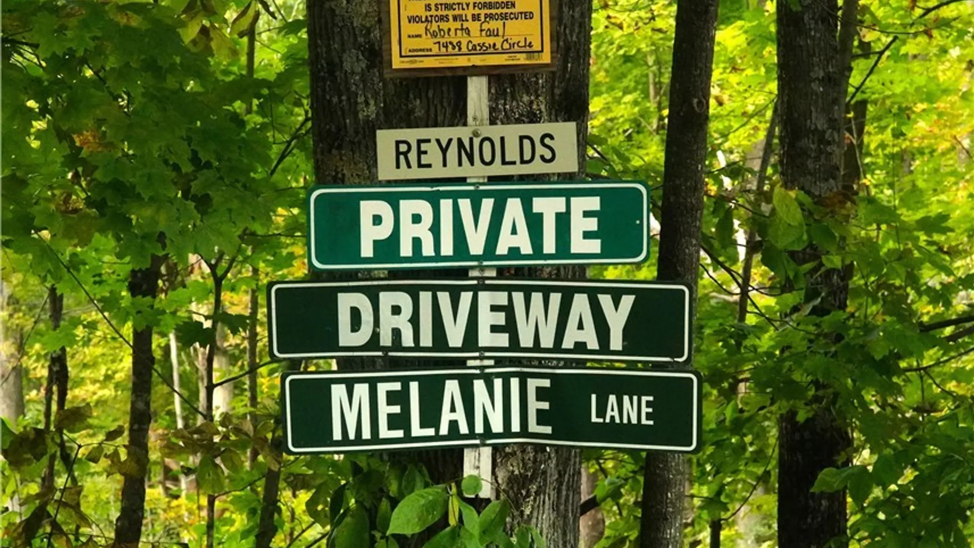 Property at 14100 Melanie Lane, Diana, NY 13648 10