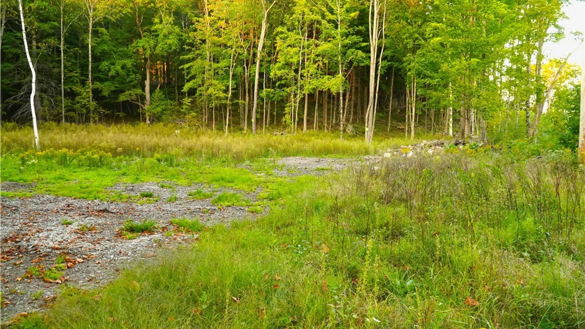 Property at 14100 Melanie Lane, Diana, NY 13648 3