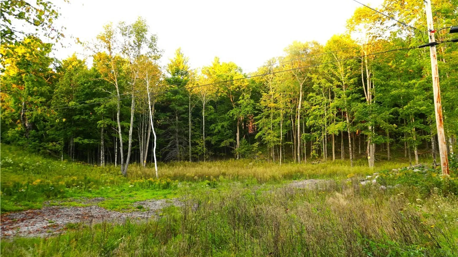 Property at 14100 Melanie Lane, Diana, NY 13648 4