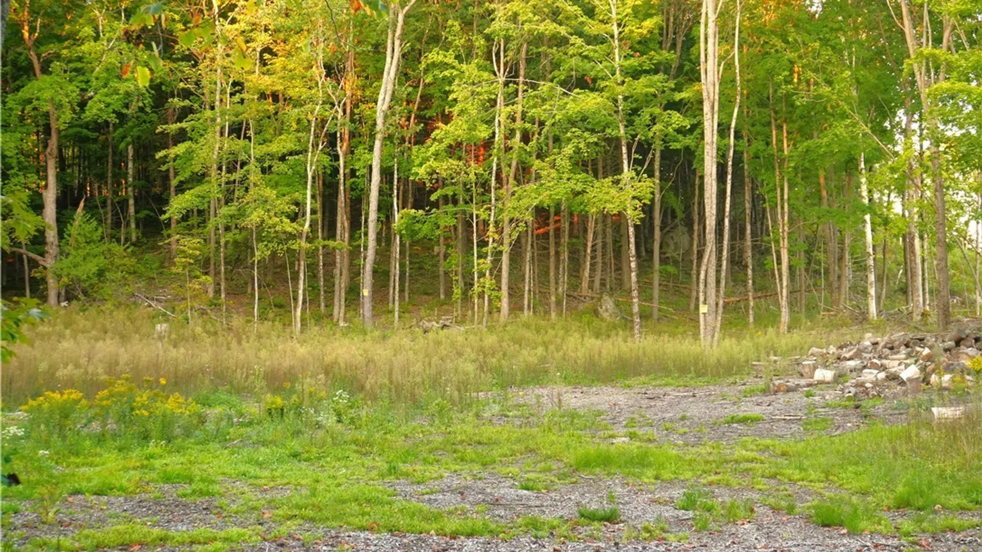 Property at 14100 Melanie Lane, Diana, NY 13648 5