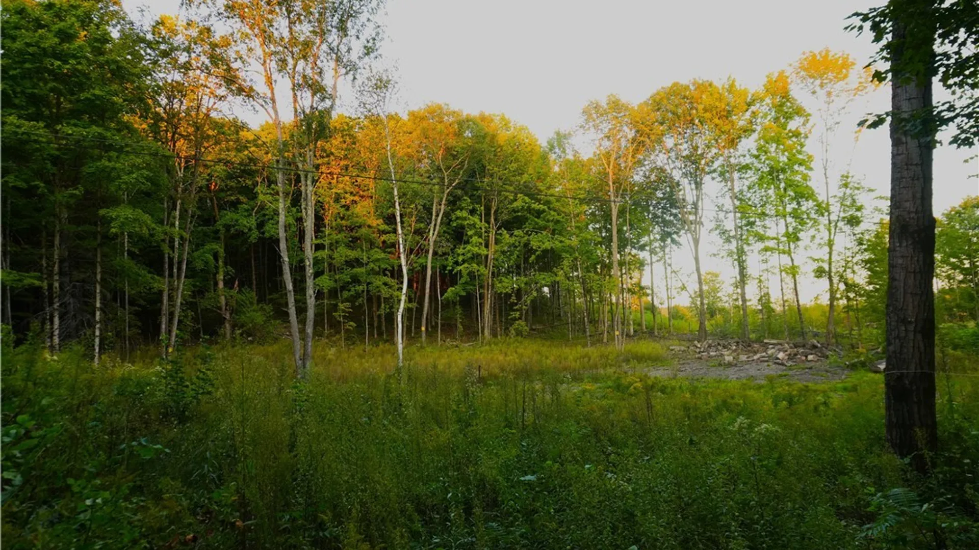 Property at 14100 Melanie Lane, Diana, NY 13648 7