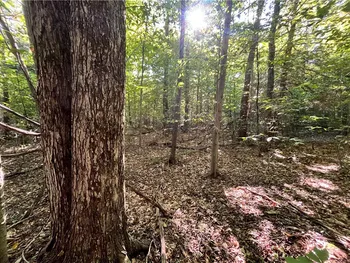 Property at Lot 1 Lockwood Run Road, Baldwin, NY 14902
