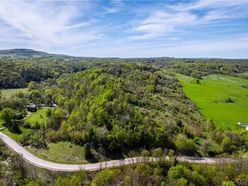 Property at Lot 14.2 Newport Road, Newport, NY 13416