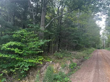 Property at 3491 Moulton Road, Clarksville, NY 14727