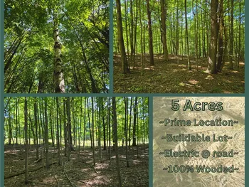 Property at Lot 13 Canterbury Lane, Davenport, NY 13750