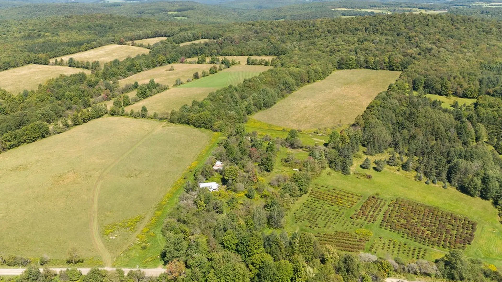 Property at Lot 11 Warren Road, Meredith, NY 13753 2