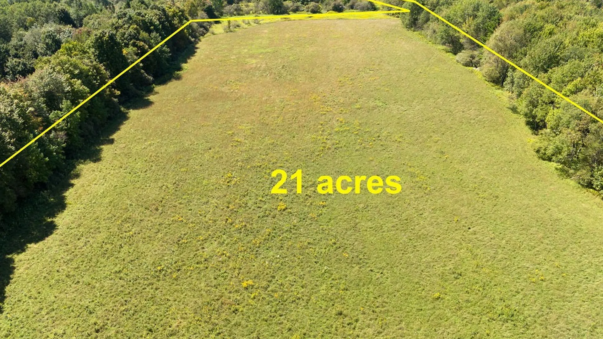 Property at Lot 11 Warren Road, Meredith, NY 13753 7