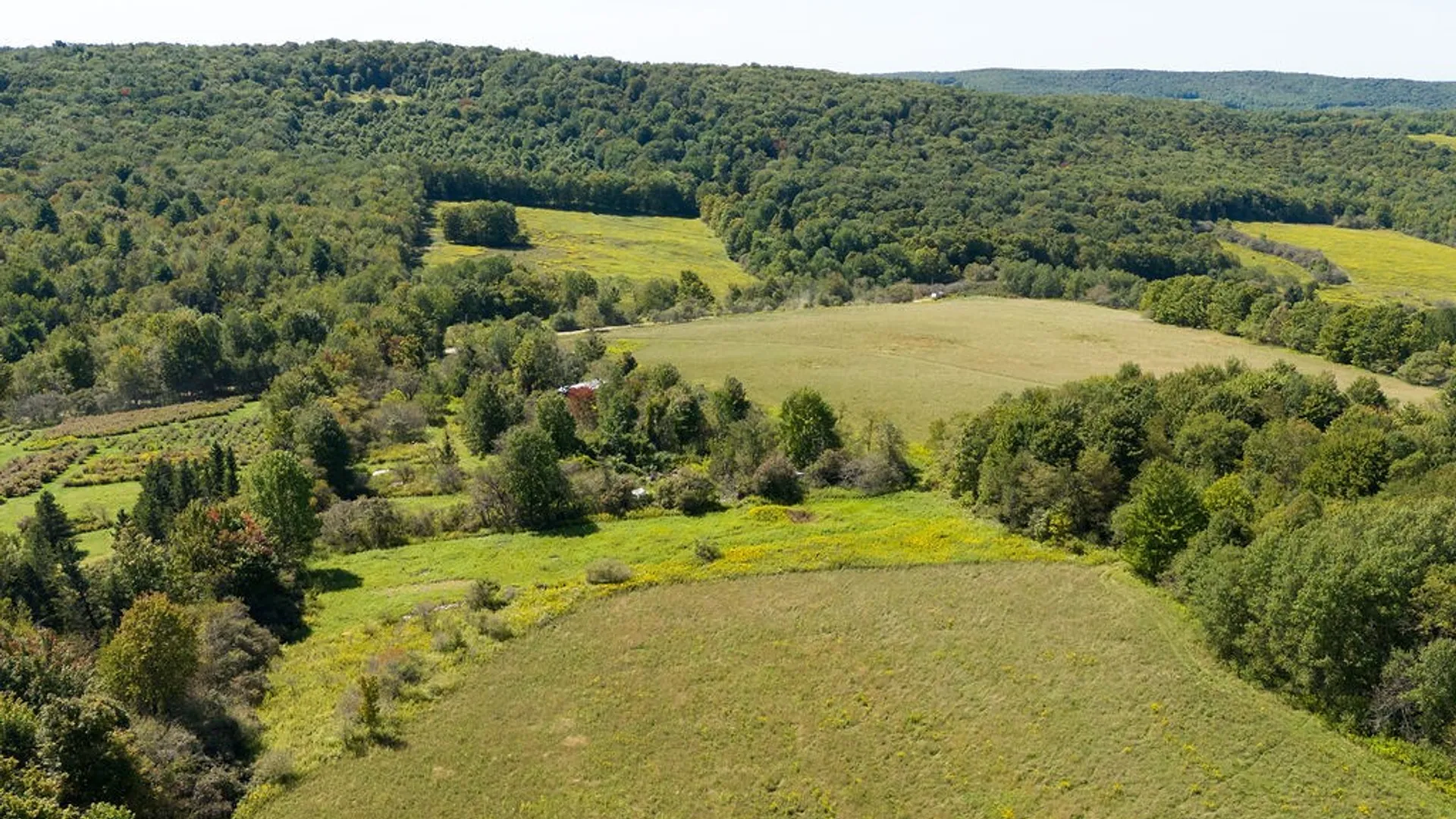 Property at Lot 11 Warren Road, Meredith, NY 13753 8