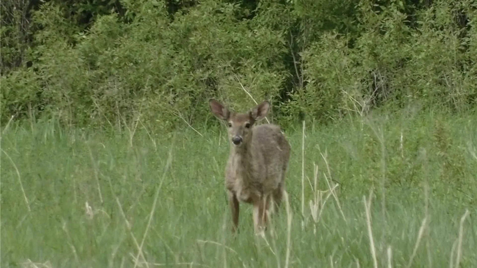 Property at 0 Split Rock Road, Rossie, NY 13646 4