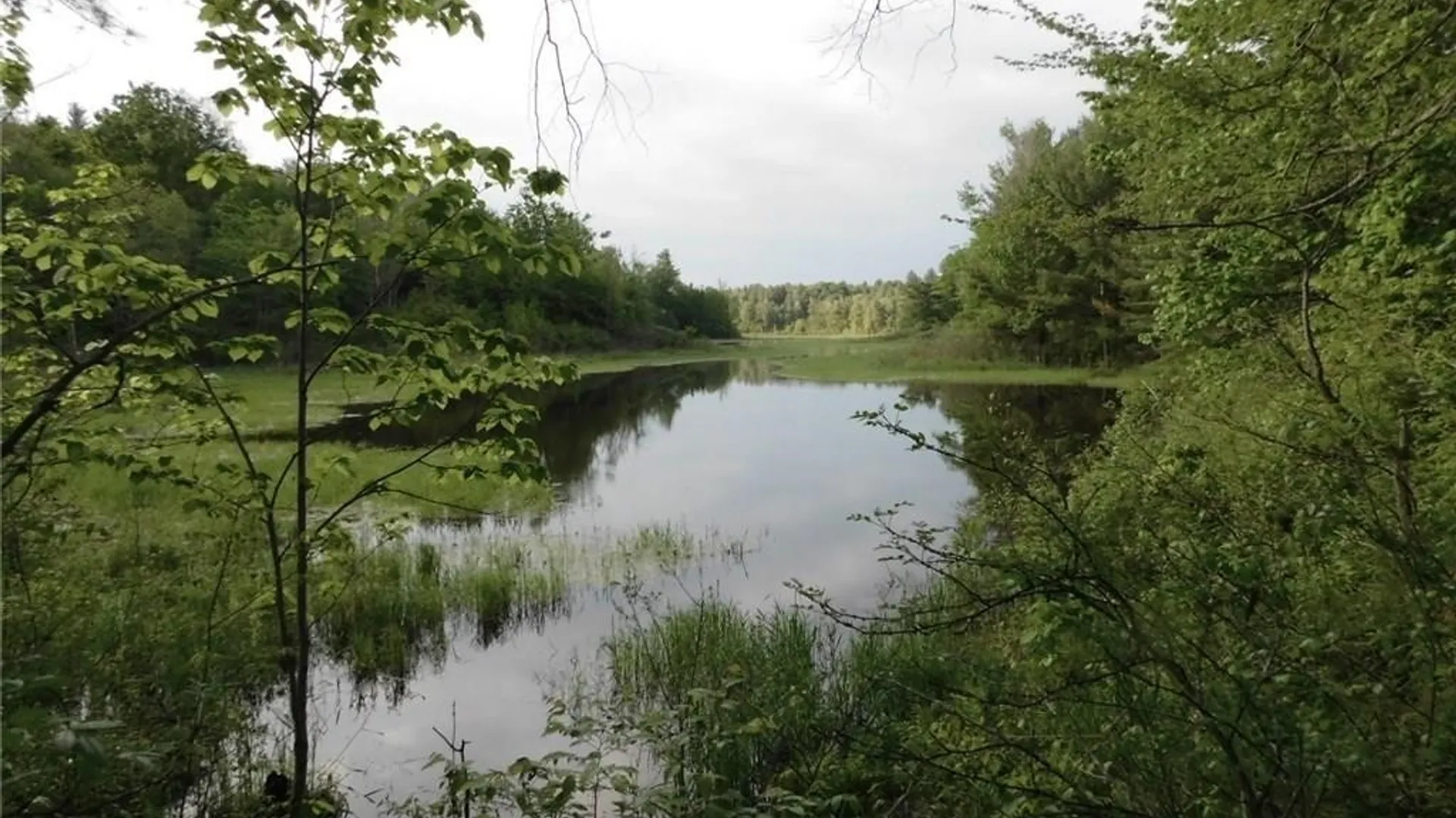 Property at 0 Split Rock Road, Rossie, NY 13646 6