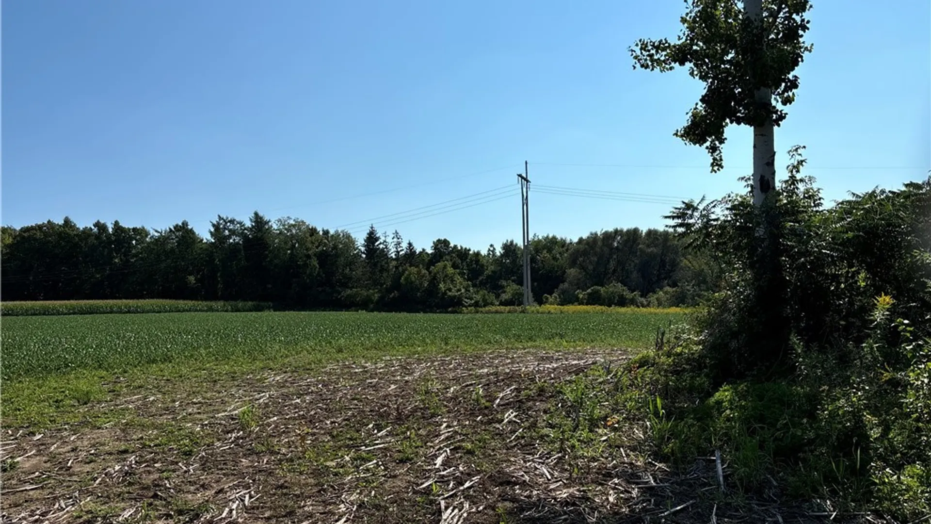 Property at 0 Paris Road, New Hartford, NY 13413 3