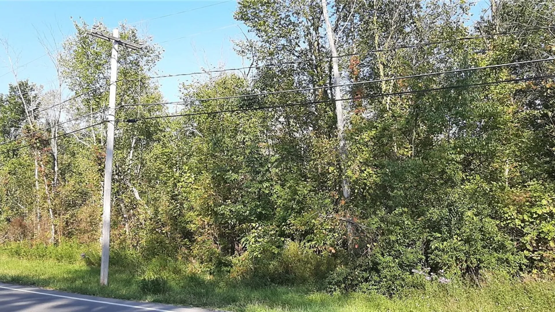 Property at V/L Burch Road, Cambria, NY 14131 3