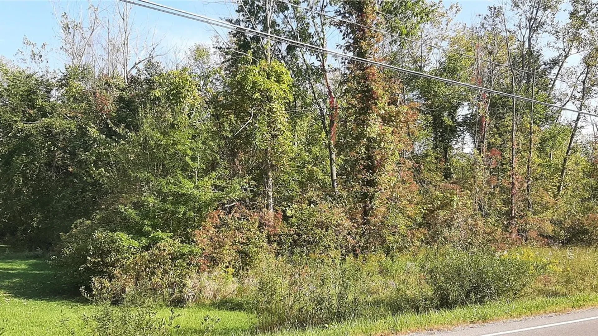 Property at V/L Burch Road, Cambria, NY 14131 4