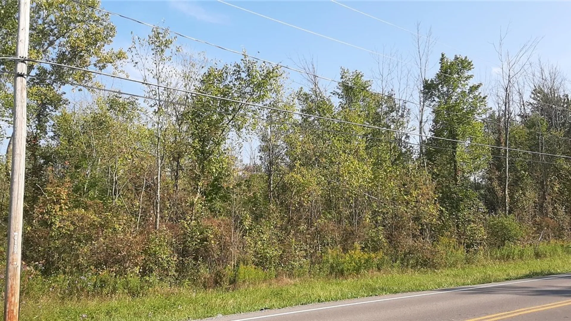 Property at V/L Burch Road, Cambria, NY 14131 5