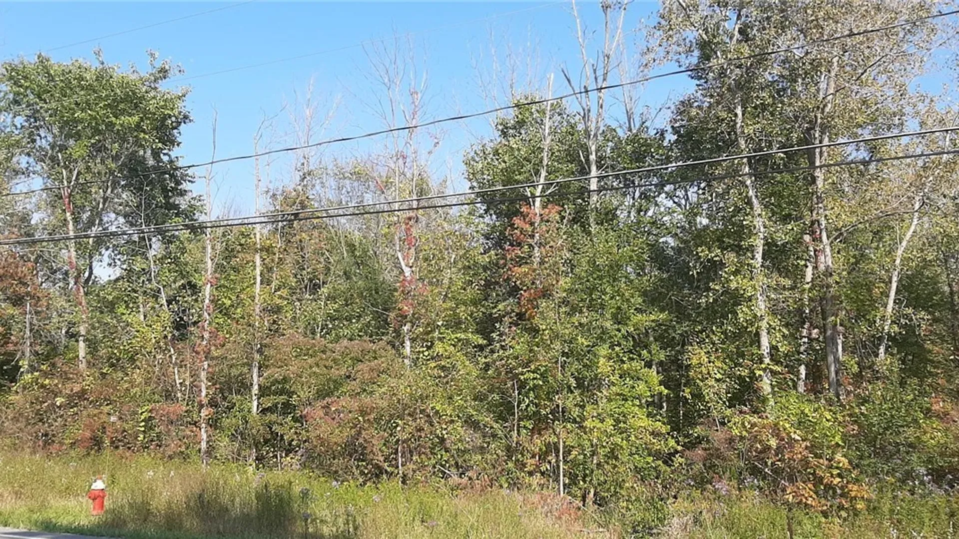 Property at V/L Burch Road, Cambria, NY 14131 6