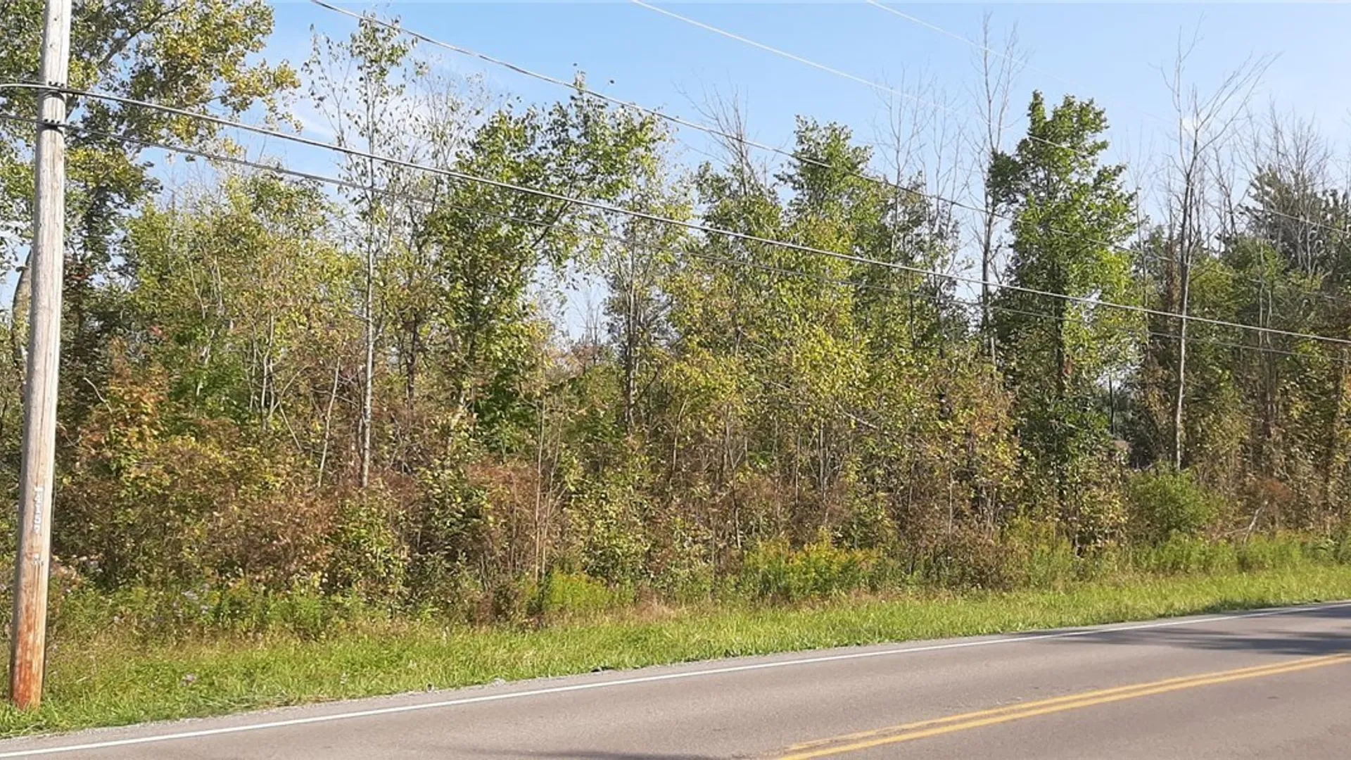 Property at V/L Burch Road, Cambria, NY 14131 7