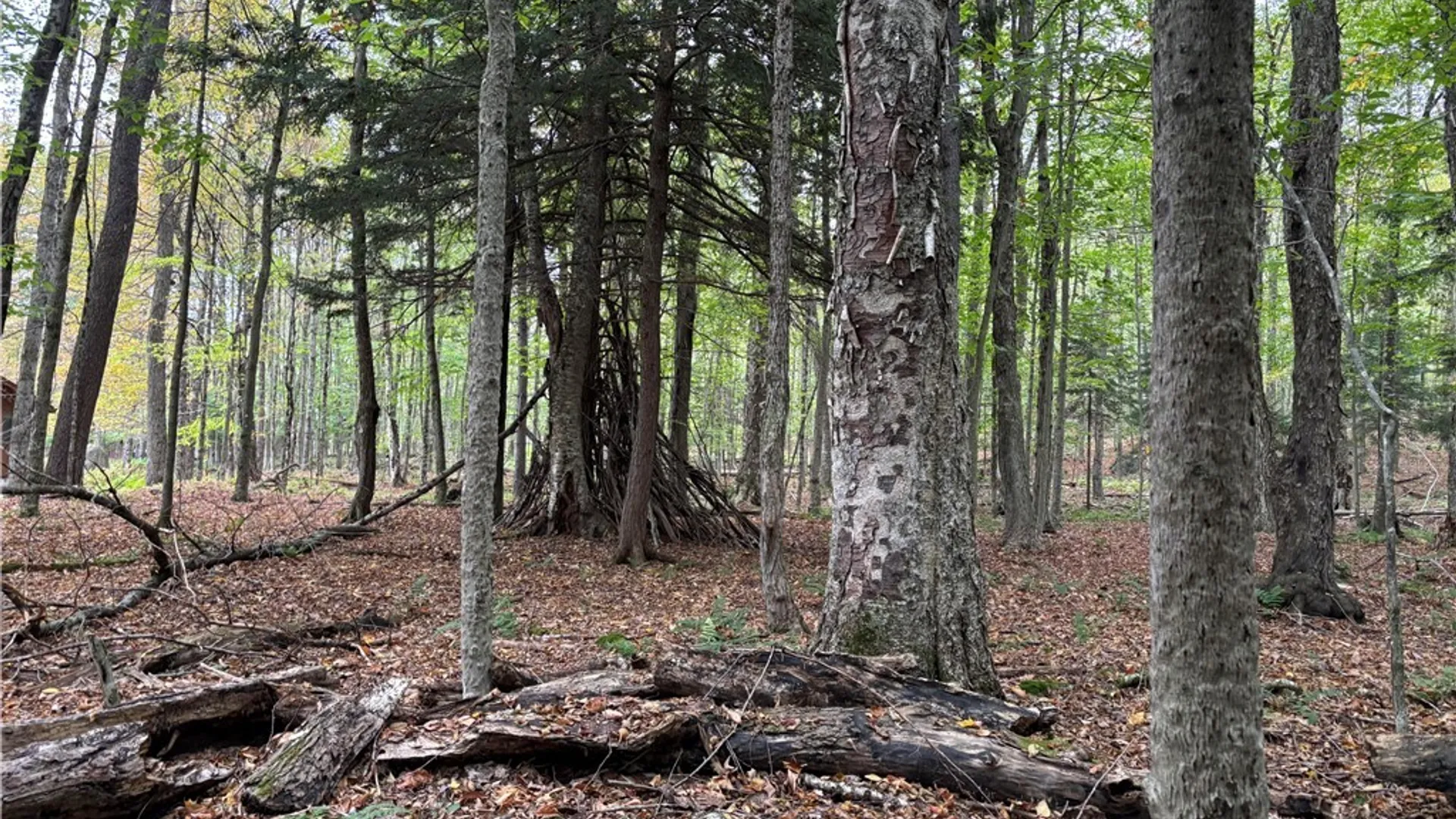 Property at 0 Deer Meadows, Webb, NY 13420 2