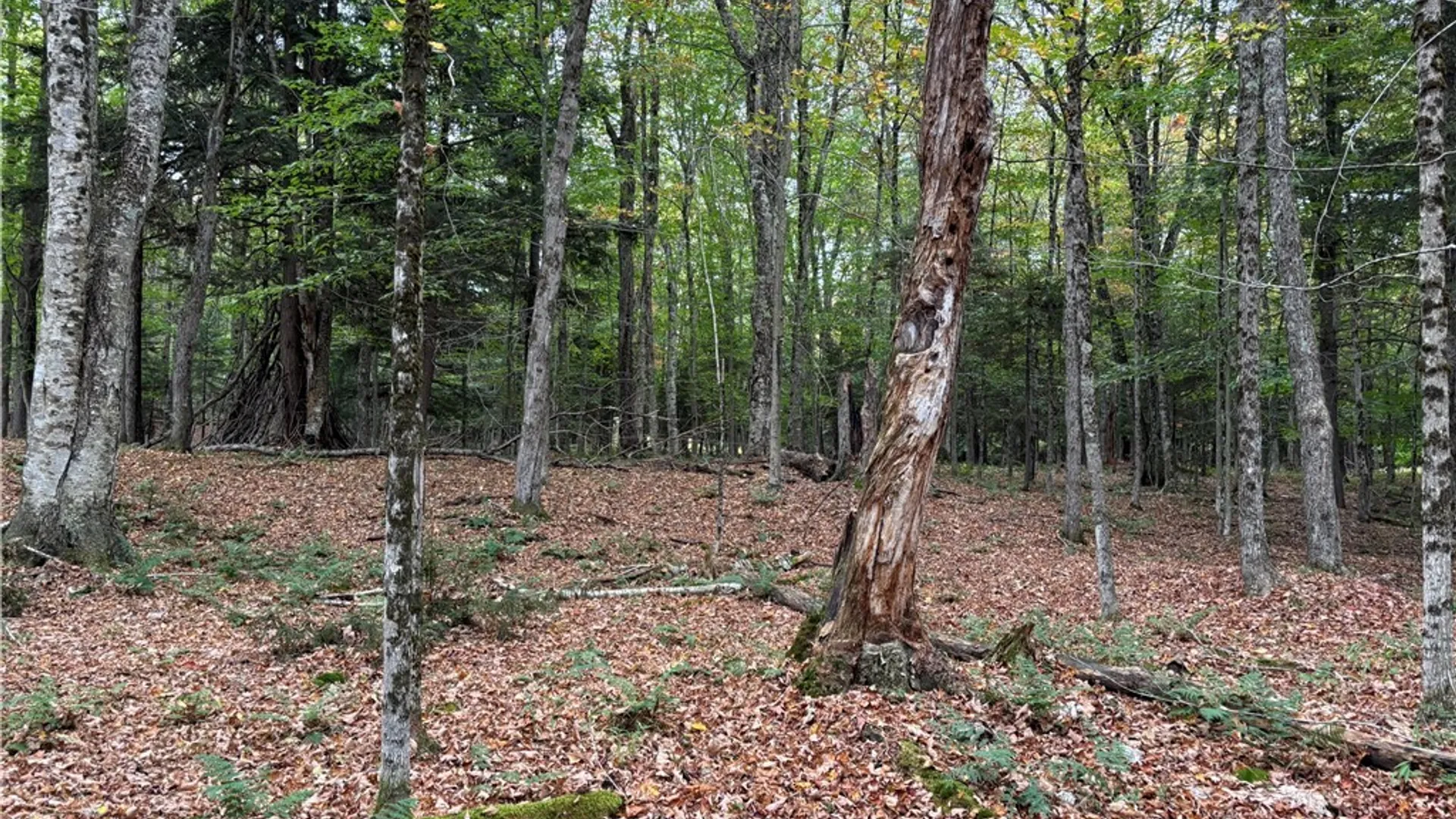 Property at 0 Deer Meadows, Webb, NY 13420 3