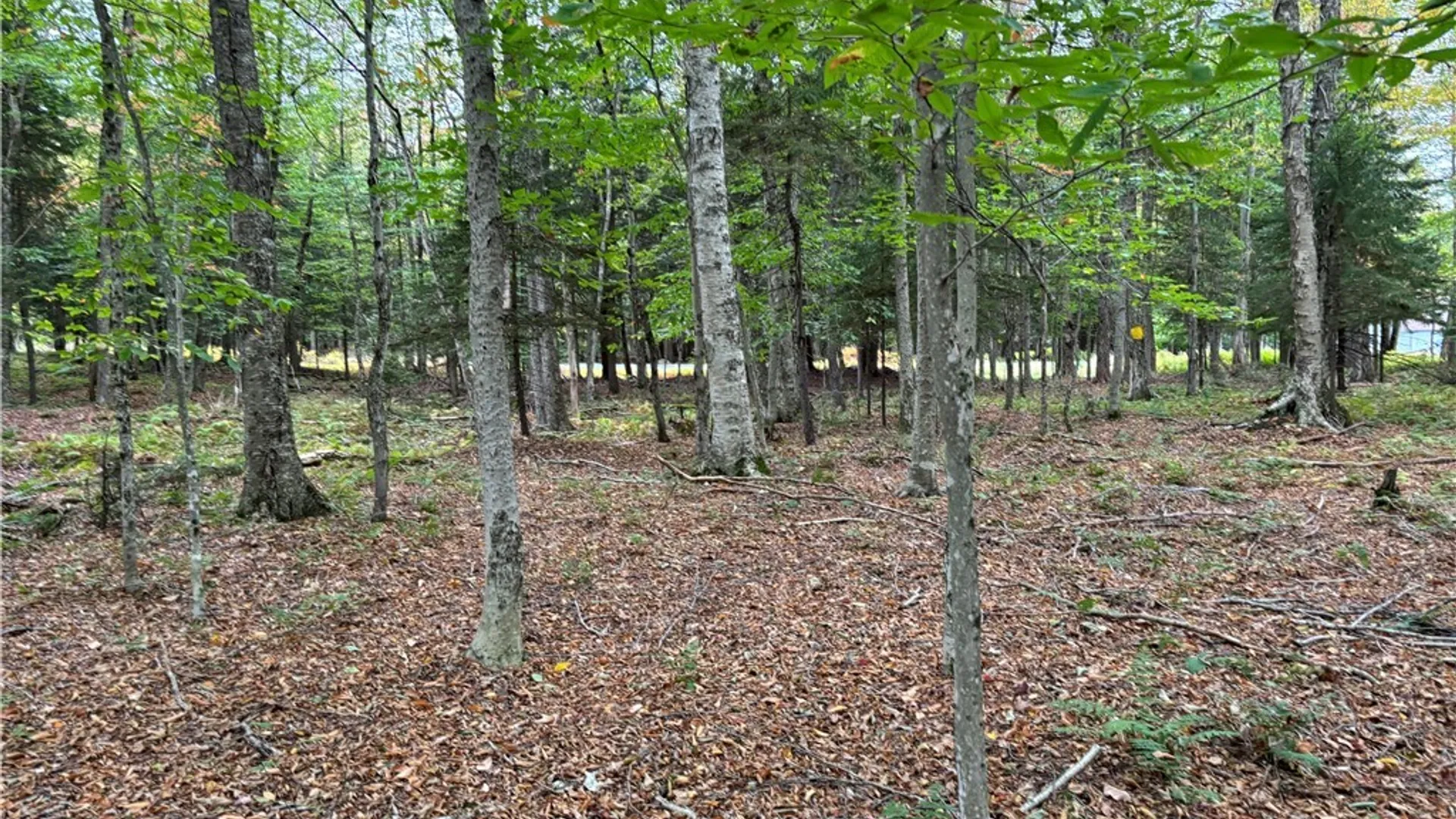 Property at 0 Deer Meadows, Webb, NY 13420 4