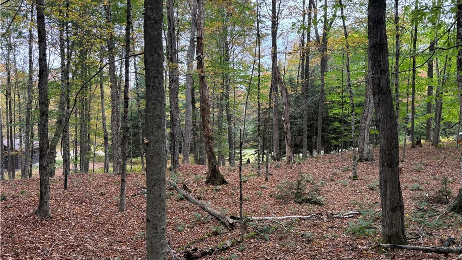 Property at 0 Deer Meadows, Webb, NY 13420 5