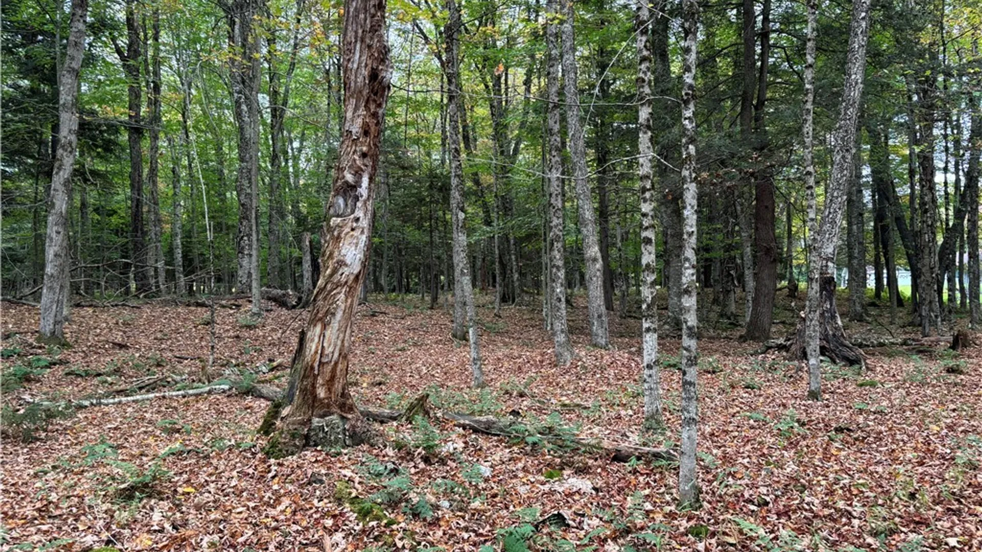 Property at 0 Deer Meadows, Webb, NY 13420 6