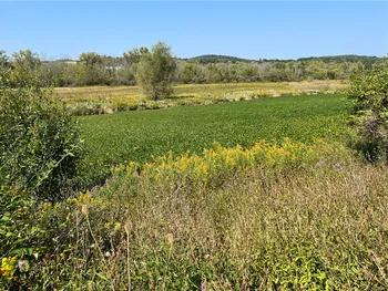 Property at 00 Route 64, Bristol, NY 14424
