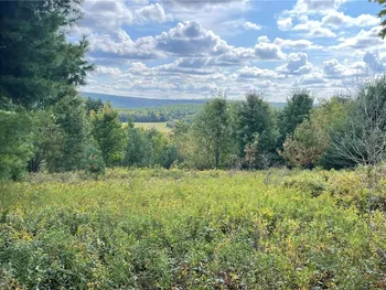 Property at 00 Hubbard Hill Road, Maryland, NY 12116