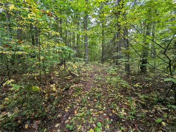 Property at 00 Bell Hill Road, Lindley, NY 14858